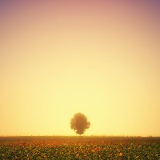 johannes-plenio-pvbwUaF-hgw-unsplash
